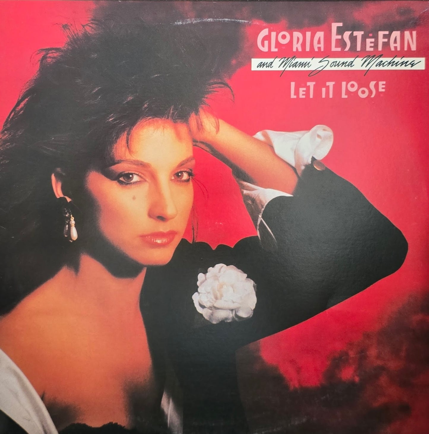 Gloria Estefan And Miami Sound Machine – Let It Loose