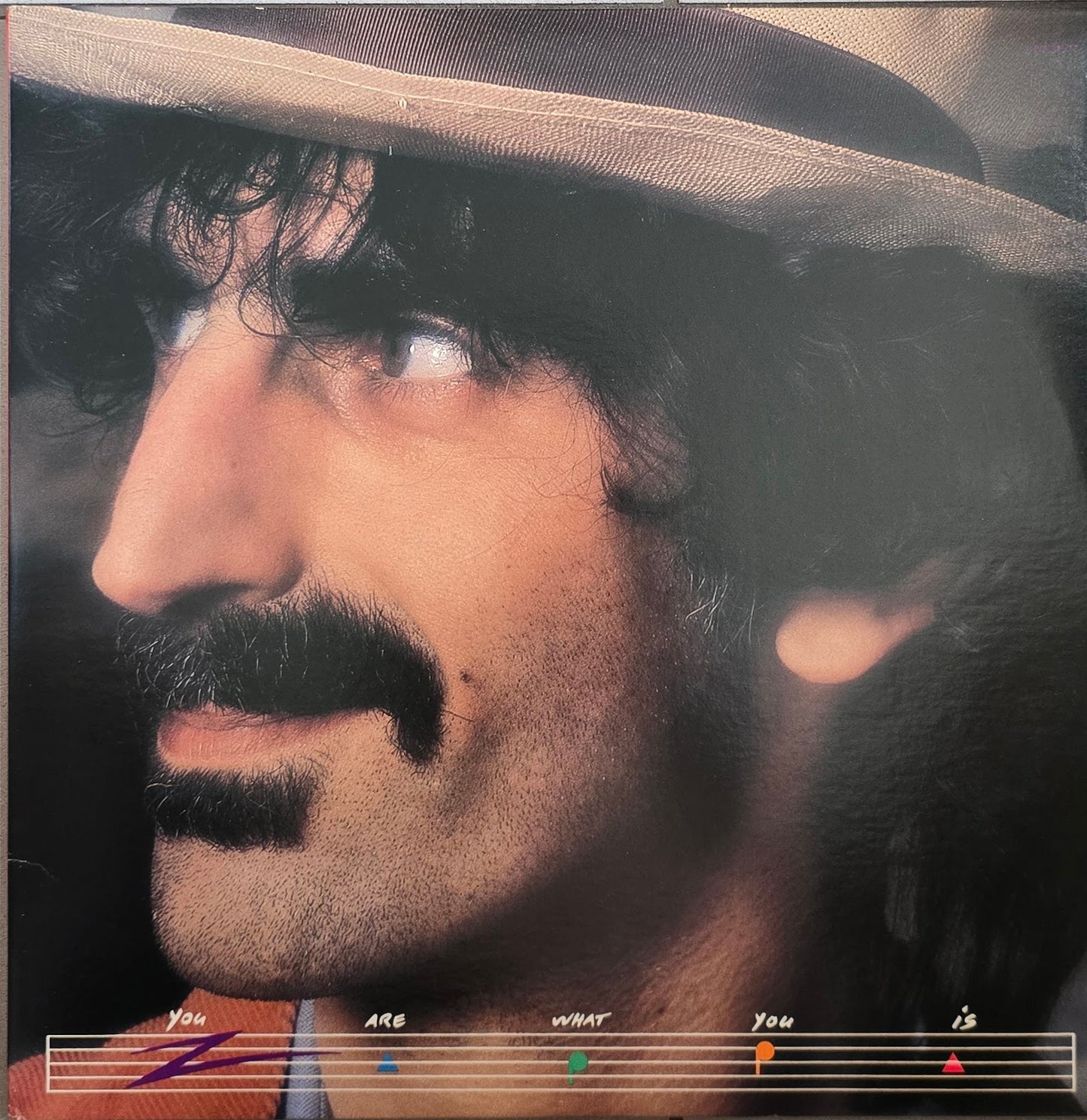 Frank Zappa – You Are What You Is