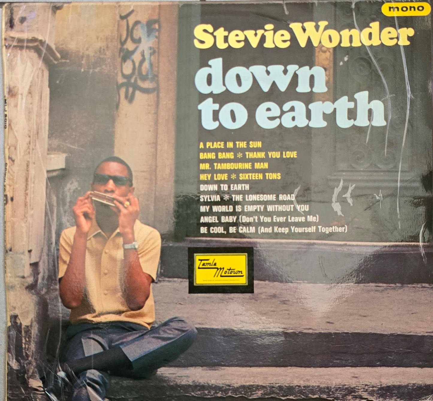 Stevie Wonder – Down To Earth