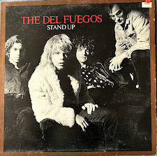 The Del Fuegos – Stand Up