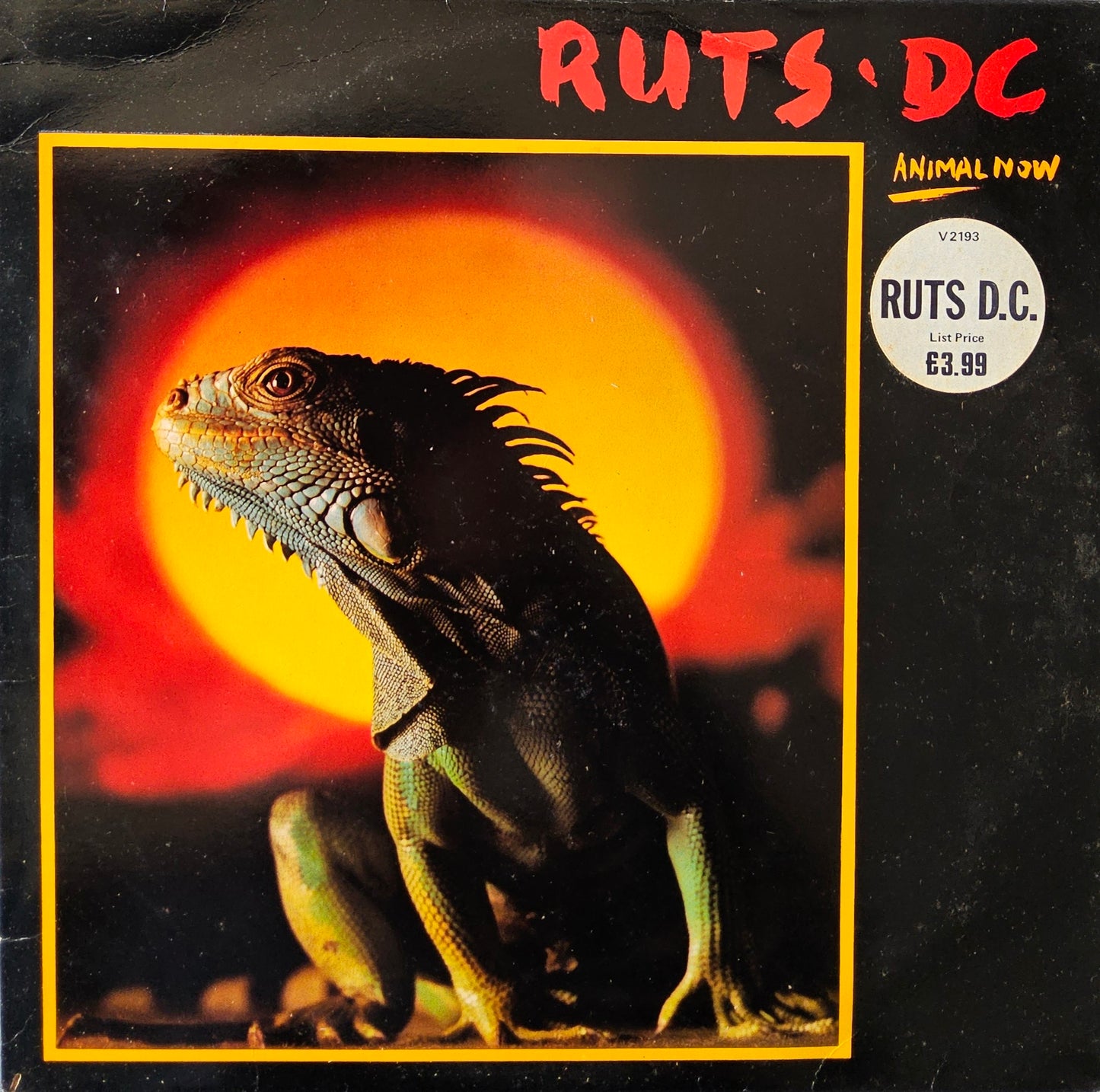 Ruts DC – Animal Now